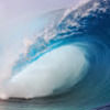 homersurfs